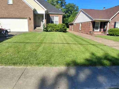 Lawn Care service in Elizabethtown, 42701