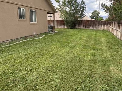 Lawn Care service in Grand Junction, 81501