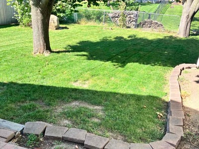 Lawn Care service in Marion, 52302