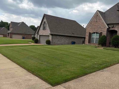 Lawn Care service in Tupelo, 38804