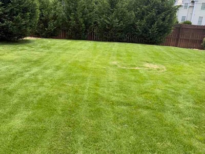 Lawn Care service in Tupelo, 38804