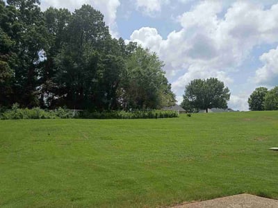 Lawn Care service in Tupelo, 38804