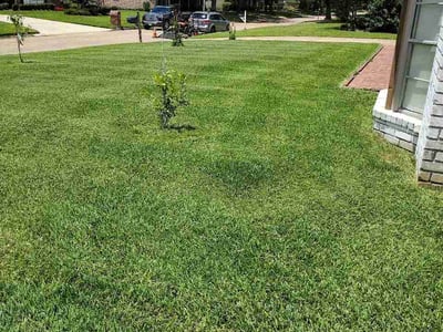 Lawn Care service in Orange, 77630