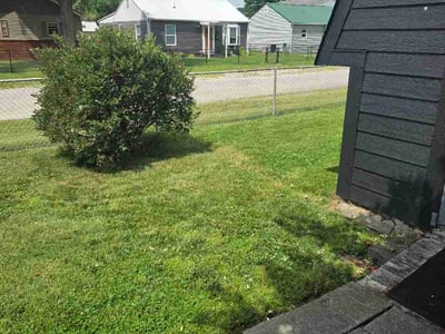 Lawn Care service in Saint Albans, 25177