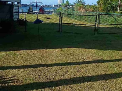 Lawn Care service in Gulf Shores, 36542