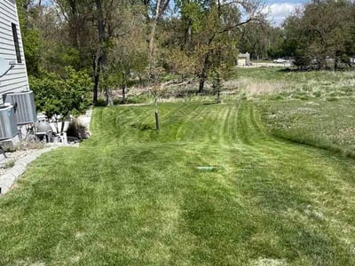 Lawn Care service in Rapid City, 57701