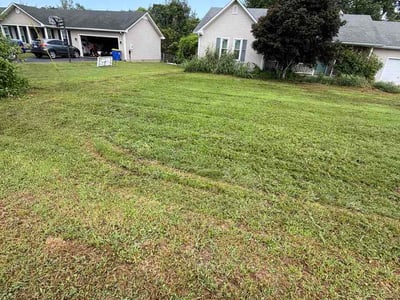 Lawn Care service in Bowling Green, 42101