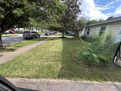Lawn Care service in Atlantic City, 08401