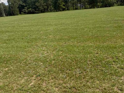 Lawn Care service in Aiken, 29801
