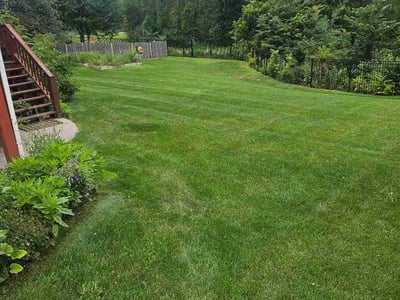 Lawn Care service in ,