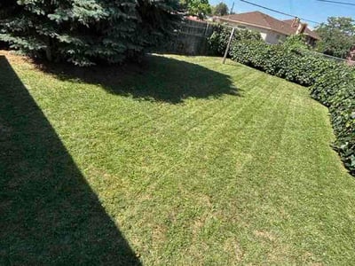 Lawn Care service in Rapid City, 57701