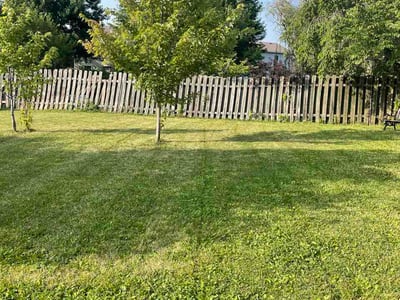 Lawn Care service in Atlantic City, 08401