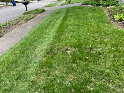 Lawn Care service in Atlantic City, 08401