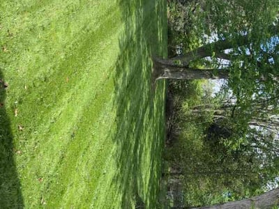 Lawn Care service in Sheboygan, 53081