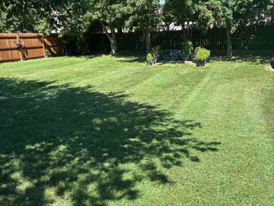 Lawn Care service in Jefferson City, 65101