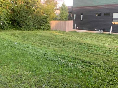 Lawn Care service in College Park, 20742