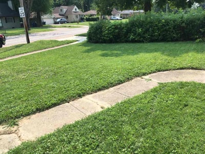 Lawn Care service in College Park, 20742