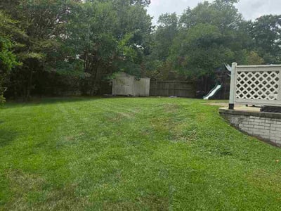 Lawn Care service in Thomasville, 27360