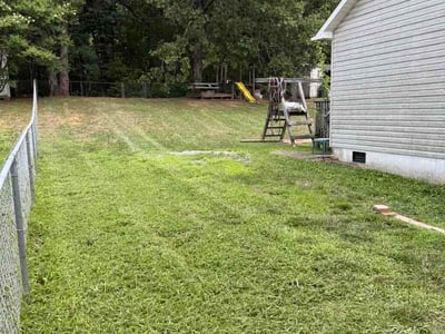 Lawn Care service in Thomasville, 27360