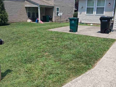 Lawn Care service in Johnstown, 15901