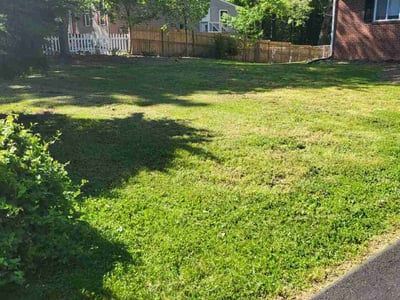 Lawn Care service in Gainesville, 20155