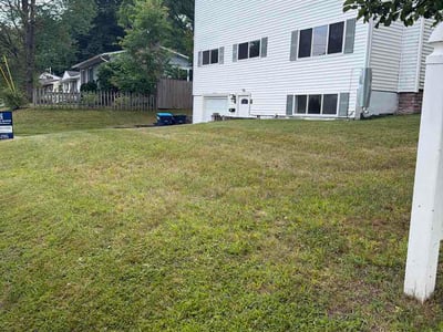 Lawn Care service in Burlington, 05401