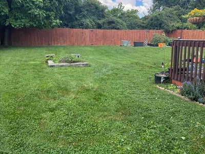 Lawn Care service in Ashland, 41101