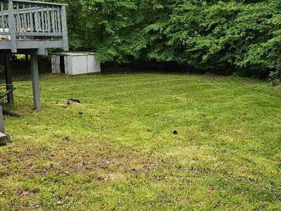 Lawn Care service in Waldorf, 20603