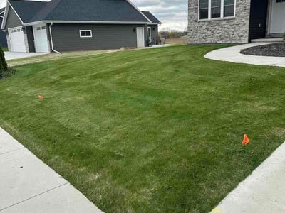 Lawn Care service in Appleton, 54911