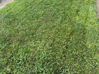 Lawn Care service in Temple Hills, 20748
