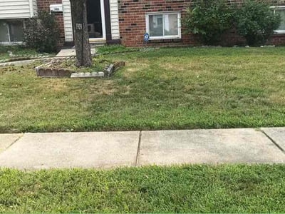 Lawn Care service in Oxon Hill, 20745