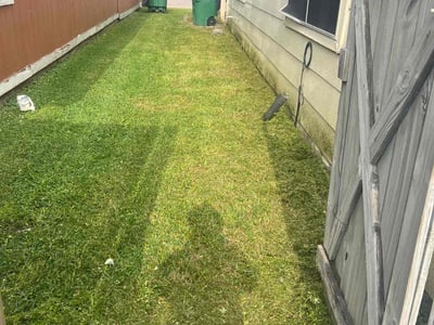 Lawn Care service in Loma Linda, 92354