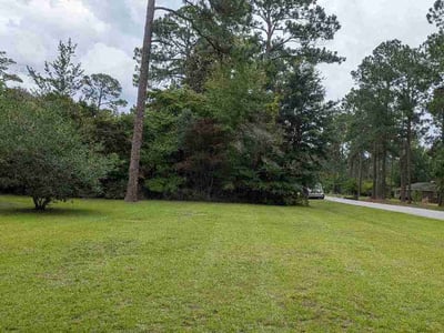 Lawn Care service in Albany, 31701