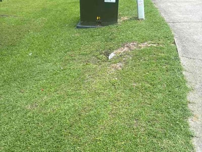 Lawn Care service in North Augusta, 29841