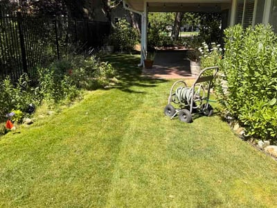 Lawn Care service in Boise, 83702