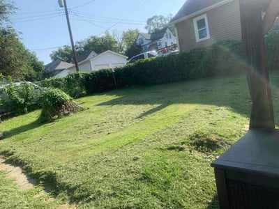 Lawn Care service in Billings, 59101