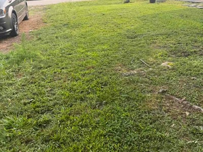 Lawn Care service in Rocky Mount, 27801