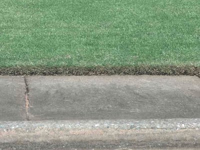 Lawn Care service in Calexico, 92231