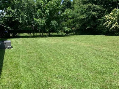 Lawn Care service in Rocky Mount, 27801