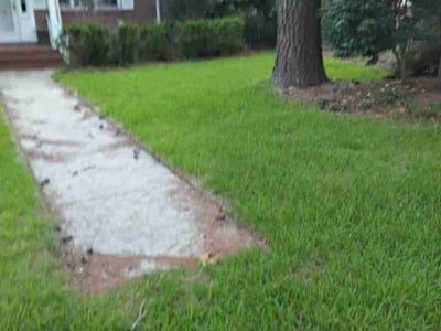 Lawn Care service in Snohomish, 98290