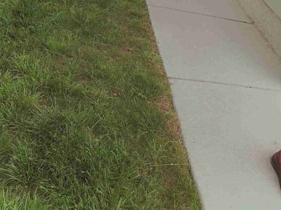 Lawn Care service in Snohomish, 98290