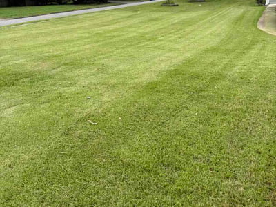 Lawn Care service in Northport, 35476