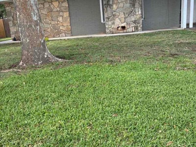 Lawn Care service in Abilene, 79602