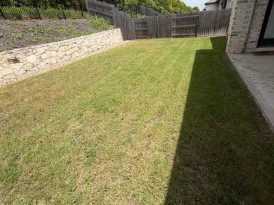 Lawn Care service in Brownsville, 78520