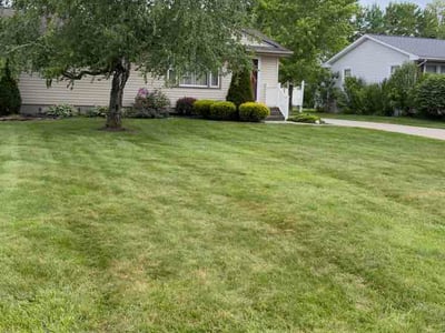 Lawn Care service in Menasha, 54952