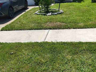 Lawn Care service in Brownsville, 78520