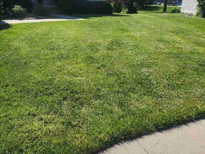 Lawn Care service in Sioux City, 51101