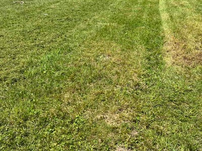 Lawn Care service in La Crosse, 54601