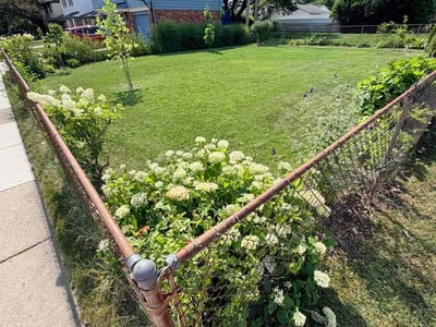 Lawn Care service in Oak Park, 48237
