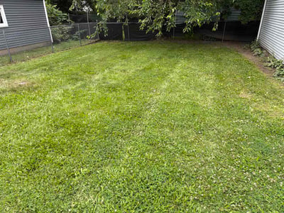 Lawn Care service in La Crosse, 54601